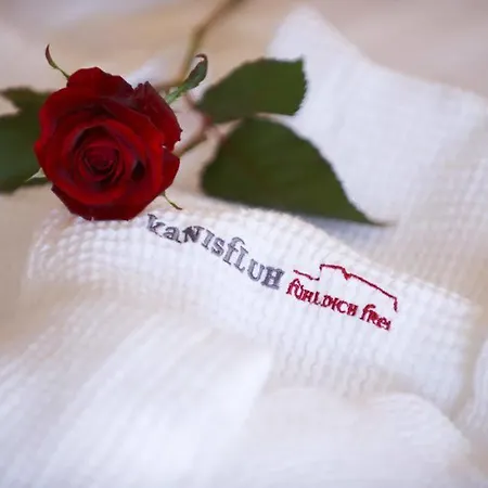 ホテル Kanisfluh 3*